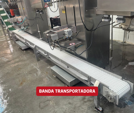 Linea de envasado automática