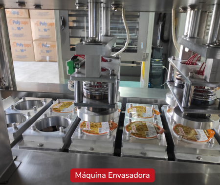 Máquina Automática para fabricación y empaque de servilletas