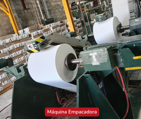 Máquina y Línea de Producción de Fideos