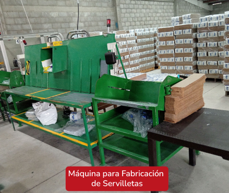 Máquina y Línea de Producción de Fideos