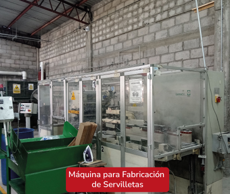 Máquina y Línea de Producción de Fideos